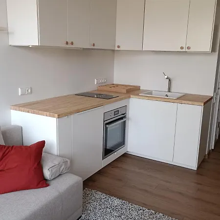 Stylish Studio In Central Вильнюс Экстерьер фото