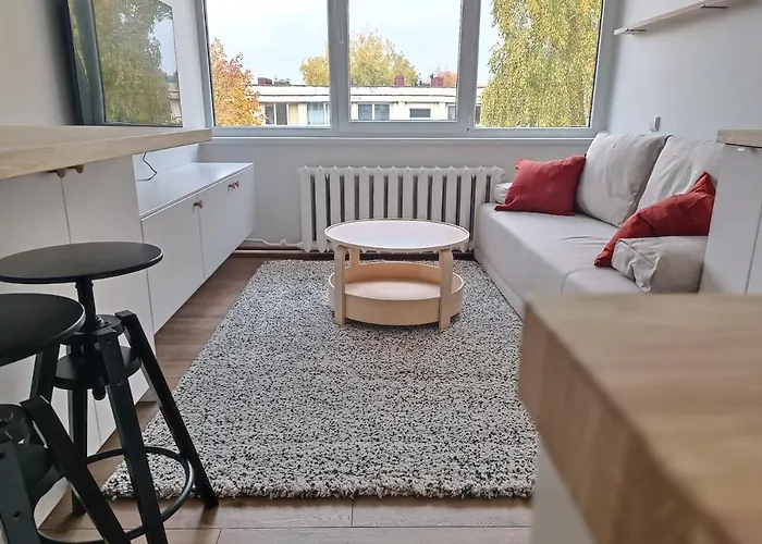 Stylish Studio In Central Vilnius
