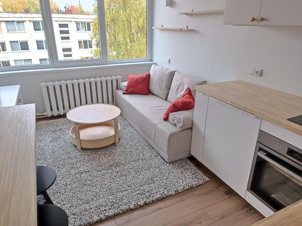 Stylish In Apartament *