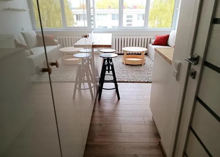 Stylish Studio In Central Vilnius