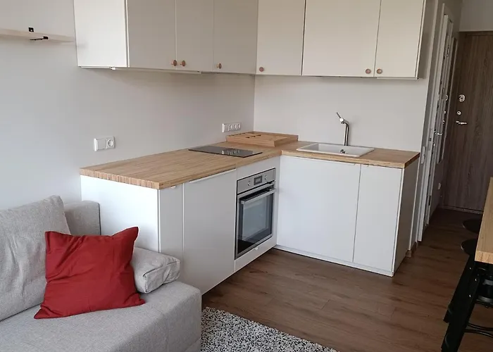 Stylish Studio In Central Vilnius